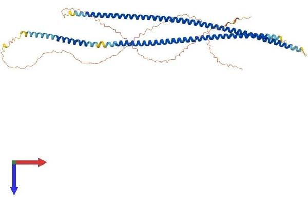 Keratin 71 Protein (KRT71) (AA 1-523) (His tag)