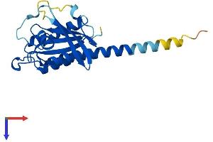 RAB35 Protein (AA 1-201) (His tag)