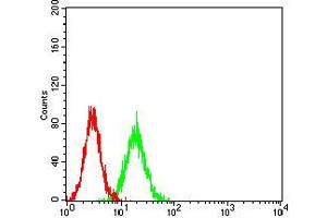 Flow cytometric analysis of K562 cells using CD269 mouse mAb (green) and negative control (red). (BCMA Antikörper)