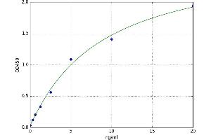 Aquaporin 2 (Collecting Duct) (AQP2) ELISA Kit
