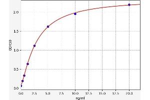 SLC25A12 ELISA Kit