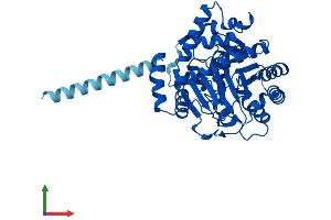 AlphaFold protein structure predicition of Mouse Recombinant Dhodh Protein, UniprotID O35435