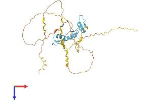KLF14 Protein (AA 1-323) (His tag)