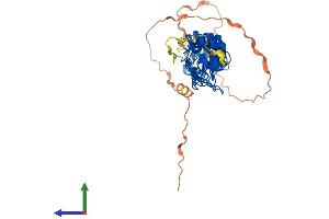 Protein Structure (PS) image for Nuclear Factor of kappa Light Polypeptide Gene Enhancer in B-Cells Inhibitor, epsilon (NFKBIE) (AA 1-364) protein (His tag) (ABIN7562441)