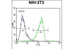 Flow cytometric analysis of NIH-3T3 cells (right histogram) compared to a negative control cell (left histogram). (CNN3 Antikörper  (AA 129-158))