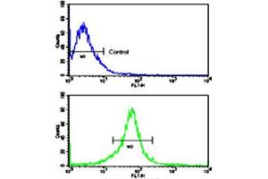 Flow cytometric analysis of MCF-7 cells using MMP14 polyclonal antibody (bottom histogram) compared to a negative control cell (top histogram). (MMP14 Antikörper  (N-Term))