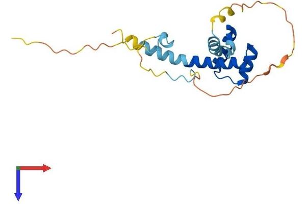 HESX Homeobox 1 Protein (HESX1) (AA 1-185) (His tag)