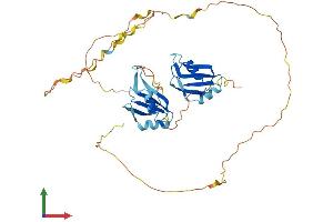 Protein Structure (PS) image for DAZ Associated Protein 1 (DAZAP1) (AA 1-406) protein (His tag) (ABIN7561548)