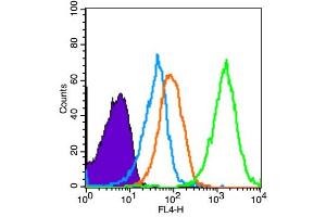 Mouse spleen cells probed with AMPK alpha-1 Polyclonal Antibody, unconjugated  at 1:100 dilution for 30 minutes compared to control cells (blue) and isotype control (orange) (PRKAA1 Antikörper  (AA 351-450))
