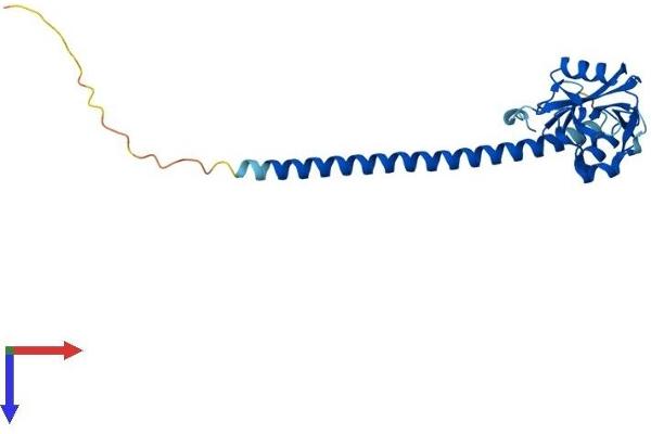 C-Type Lectin Domain Family 1, Member B (CLEC1B) (AA 1-229) protein (His tag)