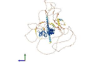 Protein Structure (PS) image for Protein Phosphatase 1, Regulatory Subunit 13 Like (PPP1R13L) (AA 1-828) protein (His tag) (ABIN7554138)