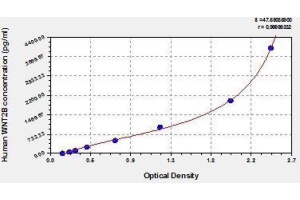 WNT2B ELISA Kit