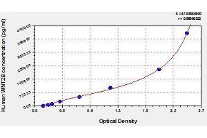 Typical standard curve (WNT2B ELISA Kit)