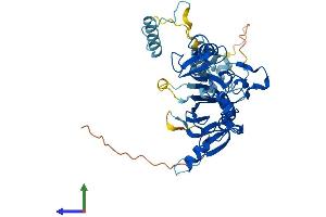 AlphaFold protein structure predicition of Mouse Recombinant Snapc3 Protein, UniprotID Q9D2C9