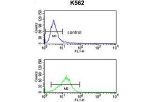 Flow Cytometry (FACS) image for anti-Neutrophil Cytosolic Factor 4, 40kDa (NCF4) antibody (ABIN3003340) (NCF4 Antikörper)