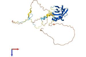 PPP1R3C Protein (AA 1-317) (His tag)