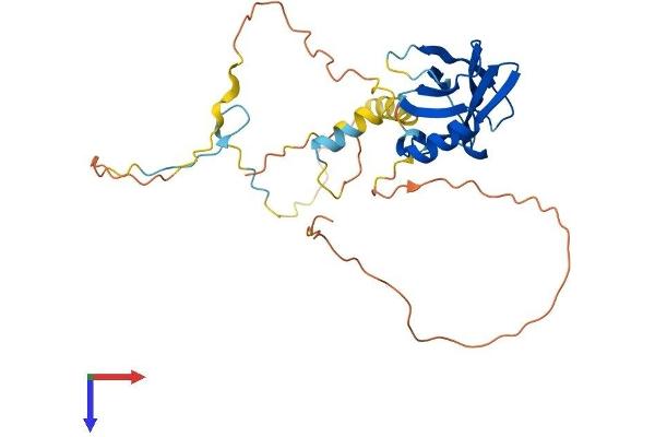 PPP1R3C Protein (AA 1-317) (His tag)