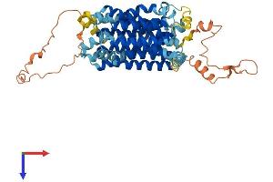 SLC18A3 Protein (AA 1-532) (His tag)