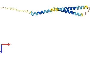 MRFAP1 Protein (AA 1-125) (His tag)