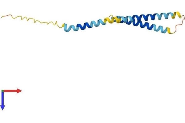 MRFAP1 Protein (AA 1-125) (His tag)