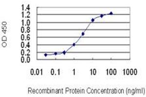 Detection limit for recombinant GST tagged ATOX1 is 0. (ATOX1 Antikörper  (AA 1-68))
