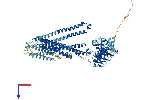 ABCB9 Protein (AA 1-762) (His tag)