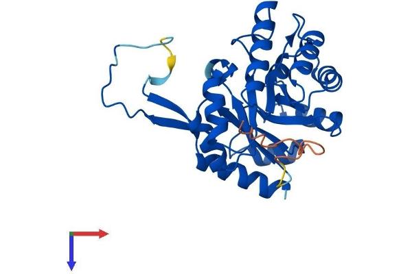 CUTC Protein (AA 1-272) (His tag)
