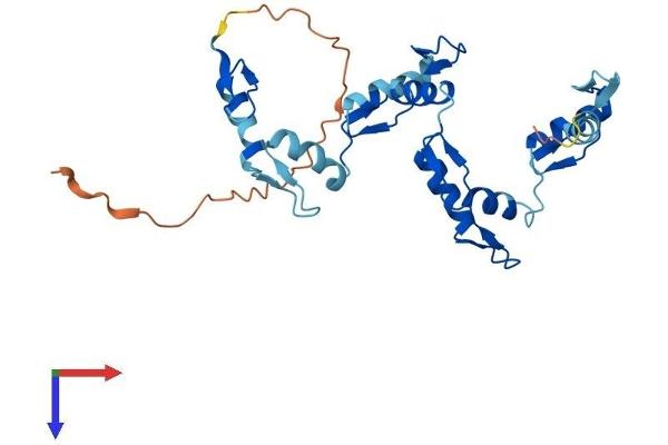 ZNF80 Protein (AA 1-273) (His tag)