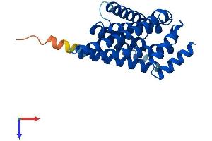 14-3-3 zeta Protein (YWHAZ) (AA 1-245) (His tag)