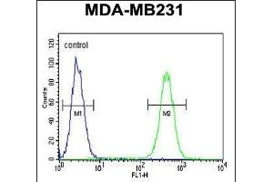 FKBP1A Antibody (C-term) (ABIN1882082 and ABIN2841885) flow cytometric analysis of MDA-M cells (right histogram) compared to a negative control cell (left histogram). (FKBP1A Antikörper  (C-Term))