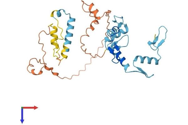 ZNF705D Protein (AA 1-300) (His tag)