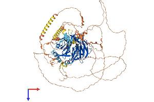 DCAF5 Protein (AA 1-946) (His tag)