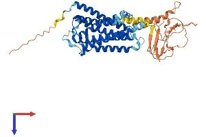 alpha 1 Adrenergic Receptor Protein (AA 1-466) (His tag)
