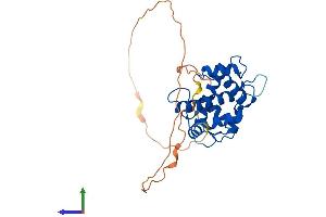 Protein Structure (PS) image for Penta-EF-Hand Domain Containing 1 (PEF1) (AA 1-284) protein (His tag) (ABIN7550724)
