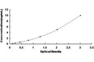 Typical standard curve (NPSR1 ELISA Kit)