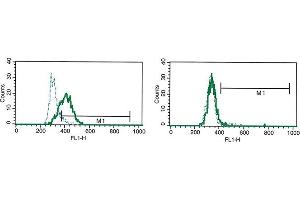 Flow Cytometry (FACS) image for anti-Interleukin-27 Subunit alpha (IL27) antibody (ABIN1107834) (IL27 Antikörper)