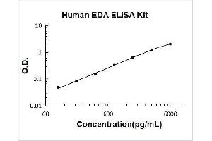 Ectodysplasin A (EDA) ELISA Kit