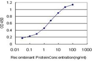 ELISA image for anti-Formiminotransferase Cyclodeaminase (FTCD) (AA 440-542) antibody (ABIN599156) (FTCD Antikörper  (AA 440-542))
