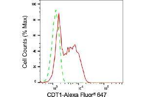 Flow cytometric analysis of CDT1 expression in HepG2 cells using CDT1 antibody (ABIN7798061), 1:2,000). (Rekombinanter CDT1 Antikörper)