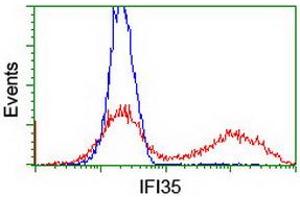 HEK293T cells transfected with either RC200929 overexpress plasmid (Red) or empty vector control plasmid (Blue) were immunostained by anti-IFI35 antibody (ABIN2454905), and then analyzed by flow cytometry. (IFI35 Antikörper)