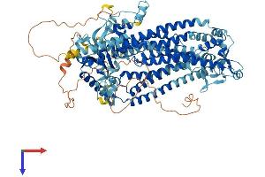 Anoctamin 7 Protein (ANO7) (AA 1-933) (His tag)