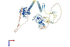 PHF10 Protein (AA 1-497) (His tag)