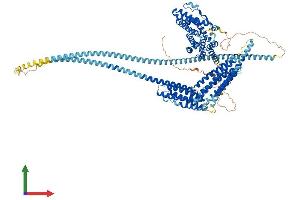 AlphaFold protein structure predicition of Human Recombinant HIP1R Protein, UniprotID O75146