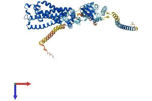 CNGA3 Protein (AA 1-631) (His tag)