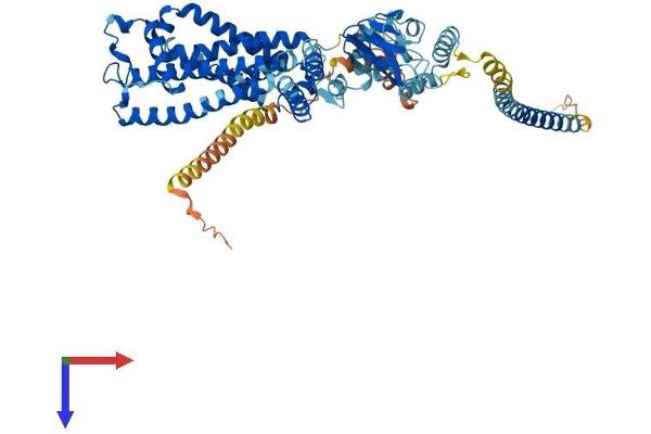 CNGA3 Protein (AA 1-631) (His tag)