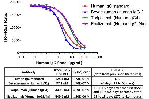 The half-lives of these 3 monoclonal antibodies currently in clinical use generally correlate with the binding affinity to FcRn.