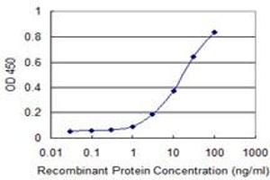 Detection limit for recombinant GST tagged CRTC2 is 0. (CRTC2 Antikörper  (AA 595-693))