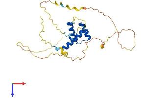 HOXD4 Protein (AA 1-255) (His tag)