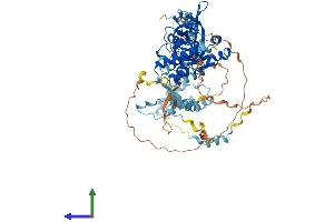 Protein Structure (PS) image for Metastasis Associated 1 (MTA1) (AA 1-715) protein (His tag) (ABIN7564671)