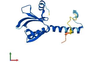 Protein Structure (PS) image for Pleckstrin Homology Domain Containing, Family J Member 1 (PLEKHJ1) (AA 1-149) protein (His tag) (ABIN7550762)